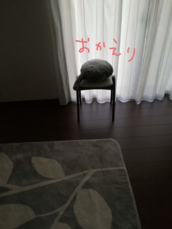 部屋にQoobo