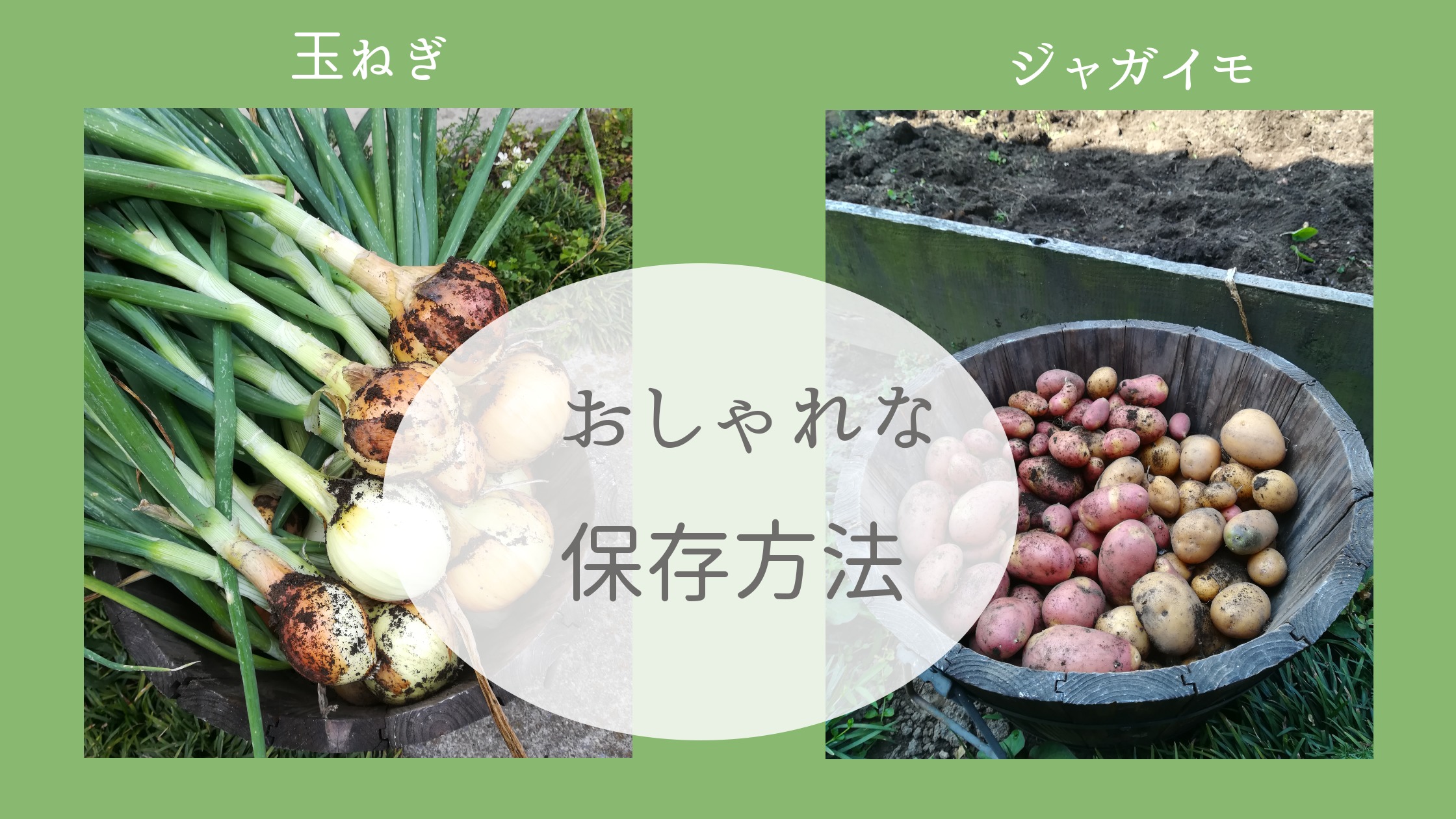 玉ねぎとジャガイモのおしゃれな保存方法 ゴキブリ対策にハーブとネット 白い平屋の家を建てました