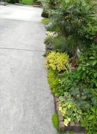 駐車場と植栽