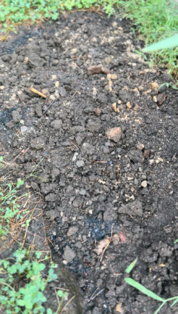 発生から一か月の今の状況