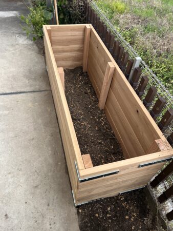 レイズドベット